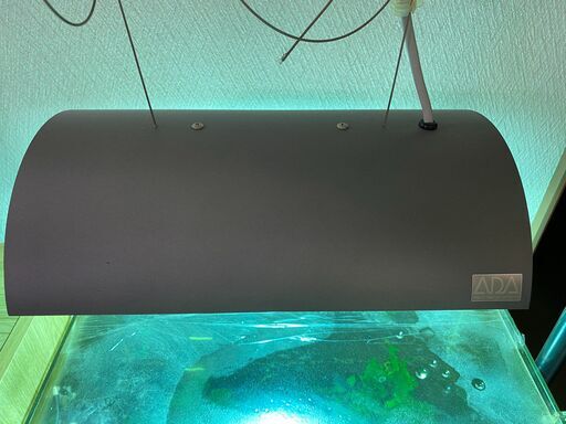 公式の店舗 10200円 【近日解体 水槽台 60cm水槽 少し値下げ】マーフィード その他