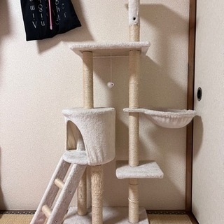 無料　中古猫タワー、鏡、新品シャワーカーテン