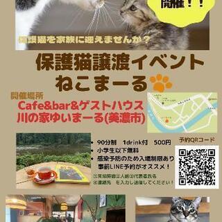 11月21日🐈保護猫譲渡イベント&猫カフェ☕🐈💓