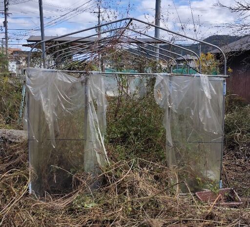ビニールハウス 3坪 ビニールなし 現状渡し