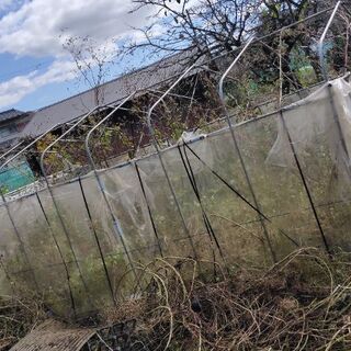 ビニールハウス 3坪 ビニールなし 現状渡し