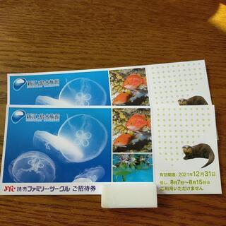 新江ノ島水族館　ご招待券　