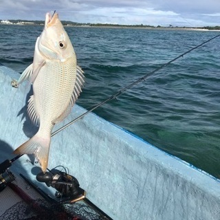 釣り