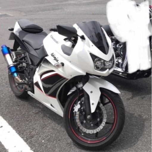 【極上美車】ninja250r Special Edition 直接引き取りで20万円