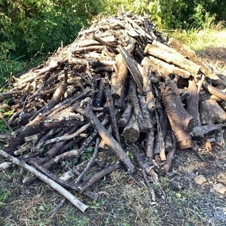 薪　枝木　木材　伐採木