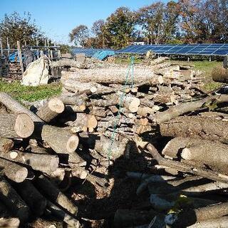 薪に最適、広葉樹ほぼ堅木。