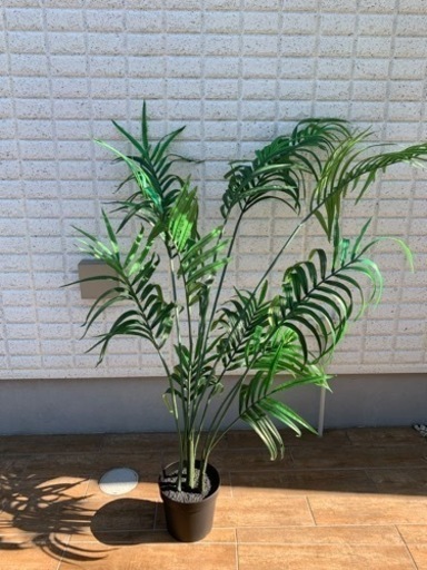 イケア人工観葉植物 室内 屋外用 ケンチャヤシ23 Cm アキム 世田谷のおもちゃの中古あげます 譲ります ジモティーで不用品の処分