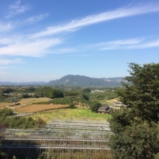 【R3年度⑤】参加者全員にもぎたてのミカン20kgをあげます！ ♥１１月１日（月曜）開催予定の３時間のミカン収穫作業体験への参加者募集 − 熊本県