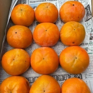 早生富有柿３Ｌ　1個100円！　特大！