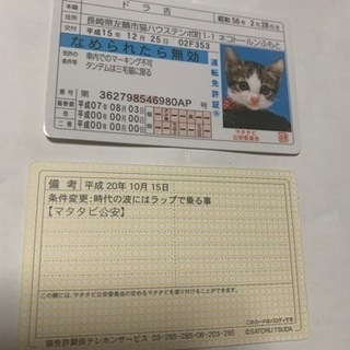 昭和レトロ、なめ猫、免許証、パロディカード