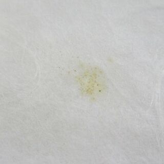 北海道 優佳良織「サンゴソウ」 ユーカラ織 額装 織物 伝統芸術工芸