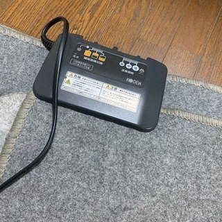 【ネット決済】電気カーペット