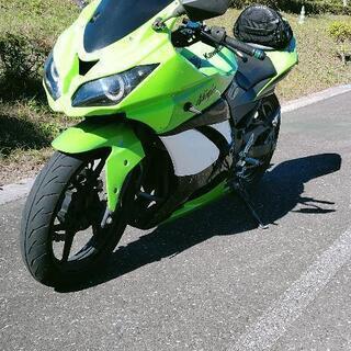 【ネット決済】ninja250r  