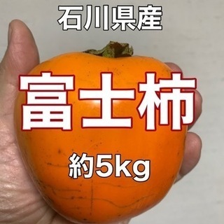 【ネット決済・配送可】石川県産　富士柿　約5kg