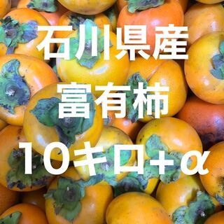 【ネット決済・配送可】石川県産 富有柿 無農薬　10kg