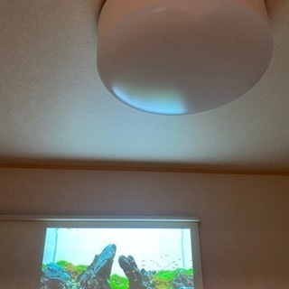 【再値下げ！！】人気の初代ポップインアラジン