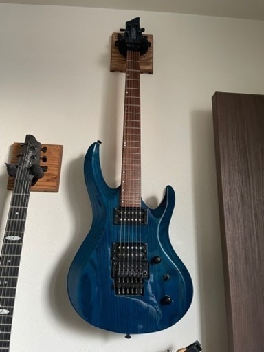 Edwards ホライゾン型ギター