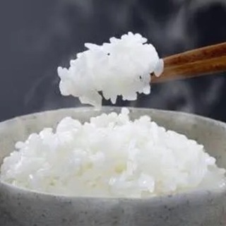新米 あきたこまち 令和5年産 長野戸隠高原産 精白米20kg 送料込 格安販売 ヤマダモール | 新米 米 無洗米 20kg 秋田県産 あきたこまち 5kg
