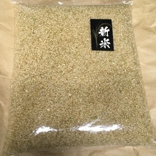 新米 あきたこまち 令和5年産 長野戸隠高原産 精白米20kg 送料込 格安販売 新米あきたこまち 長野戸隠産 白米or玄米 100kgまでまとめ売り