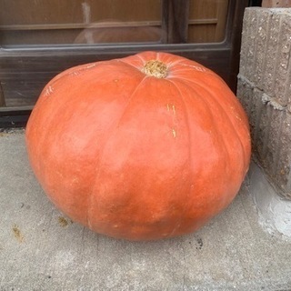 大きいかぼちゃ