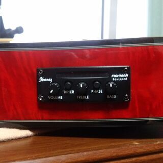 エレアコギター【発売時定価72600円（税込）】Ibanez 