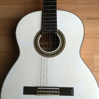 決まりました♪初心者 女性にも♪スズキバイオリン クラシック ガット