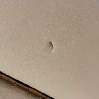 アースライト社マッサージベッド【スピリット】