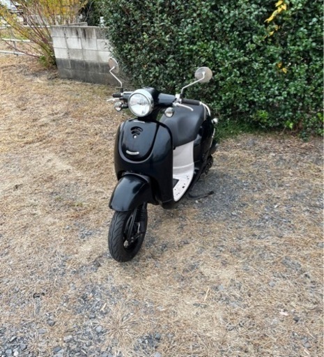 58.  ホンダ　ジョルノ  AF70  原付　バイク　50cc