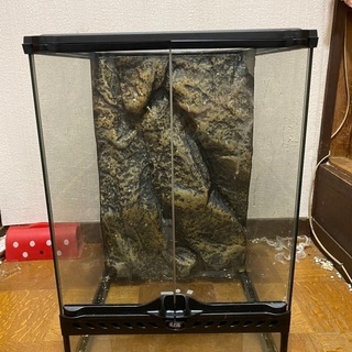 グラステラリウム3045 爬虫類ケージ じぇじぇじぇ 別府のその他の中古あげます 譲ります ジモティーで不用品の処分 グラステラリウム3045 爬虫類ケージ じぇじぇじぇ 別府のその他の中古あげます 譲ります ジモティーで不用品の処分