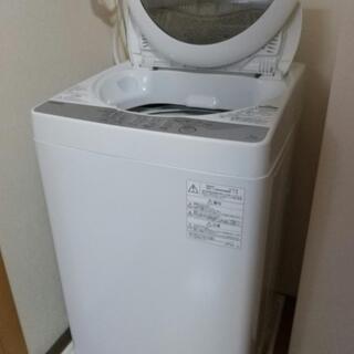 【お取引確定】2019年製　TOSHIBA 洗濯機 5kg