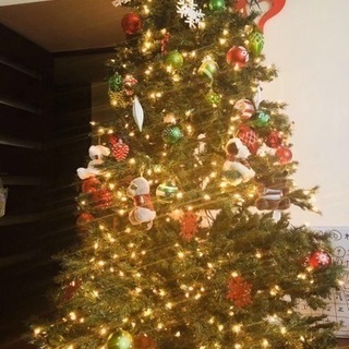 立派なクリスマスツリー180cm LED付き