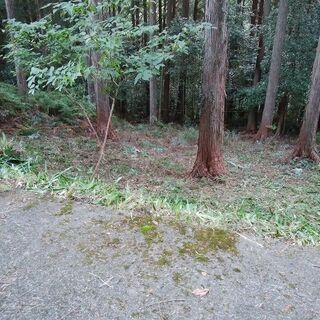 静岡県浜松市天竜区春野町の別荘地