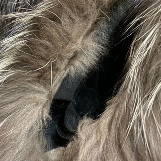 毛皮 シルバーフォックス