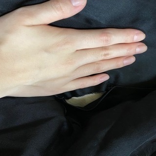 毛皮 シルバーフォックス