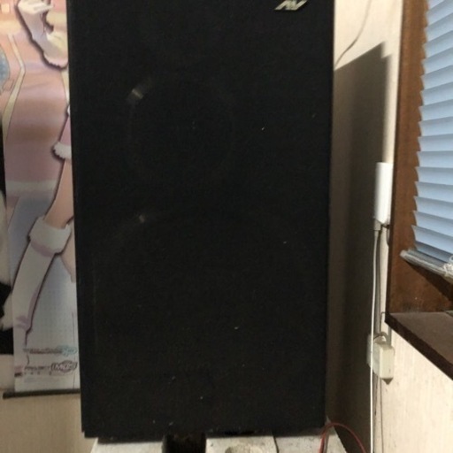 スピーカー DIATONE DS-77 EXV