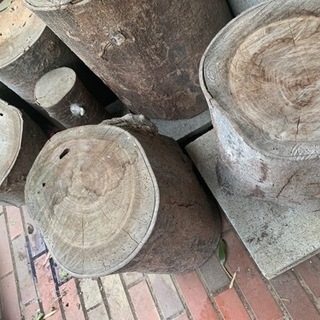 丸太　薪　欅　大量
