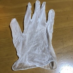プラスチック手袋　L  200枚