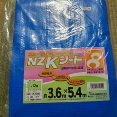 【取引中】レジャーシート　約12畳