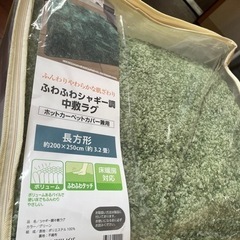 ふわふわシャギー調中敷ラグ　長方形新品&長座布団おまけお値下げし...