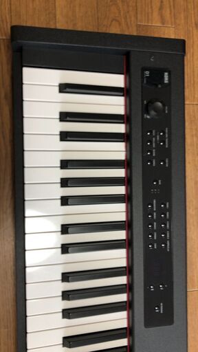 KORG 電子ピアノ D1 88鍵盤 コルグ | camaracristaispaulista.sp.gov.br