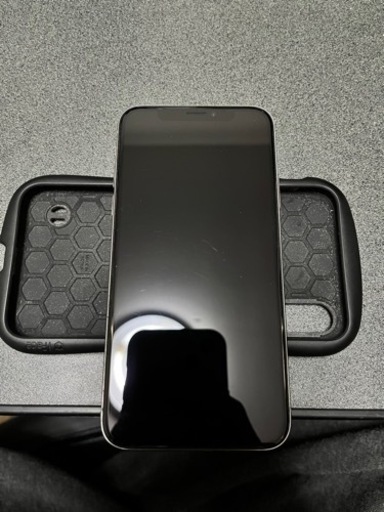 iPhone X本体(64GB)とケース