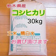 【ネット決済・配送可】新米コシヒカリ30kg　令和3年度　栃木県...