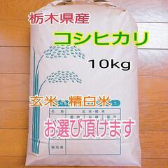 【ネット決済・配送可】新米コシヒカリ10kg　令和3年度　栃木県産