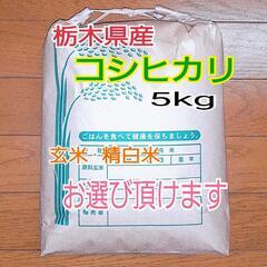 【ネット決済・配送可】新米コシヒカリ　5kg　令和3年度　栃木県...