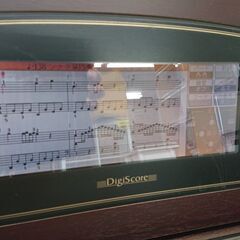 Roland ローランド 電子ピアノ デジタルピアノ 88鍵盤 デジスコア HPI