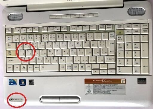 東芝 dynabook EX/55LWH win10 office 2019付き | inmarco.ae