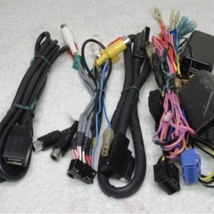 VH09CS◆最新版！2021年第1.0版/オービス2021年◆