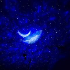 【本日開催】光と音が作る癒しの空間～プラネタリウムで星空を見なが...