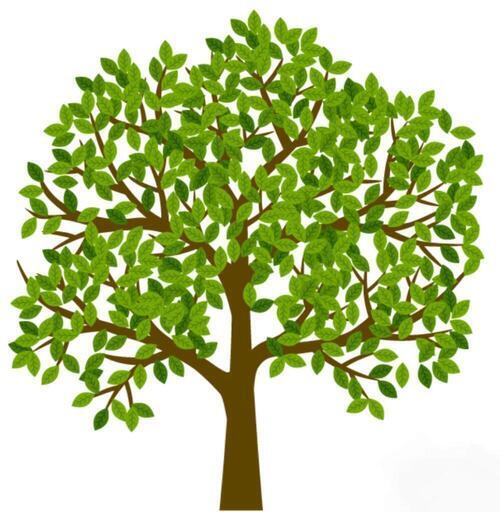 造園 剪定 草刈 庭造り 伐採 芝生管理 おまかせください Gumtree 築山の植木 庭木植え替えの無料広告 無料掲載の掲示板 ジモティー