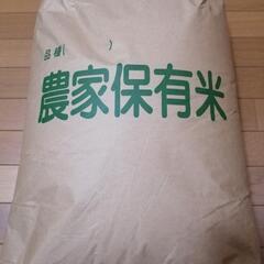 今年の秋、収穫の米(コシヒカリ)